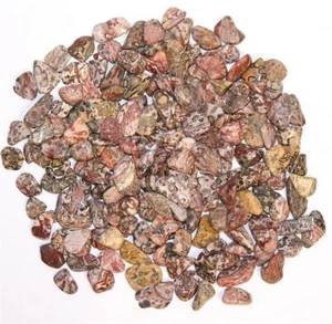 Leopardskin Jasper Bulk Tumblestones 10mm-25mm 140-180 Crystals 250 Grams - Picture 1 of 1