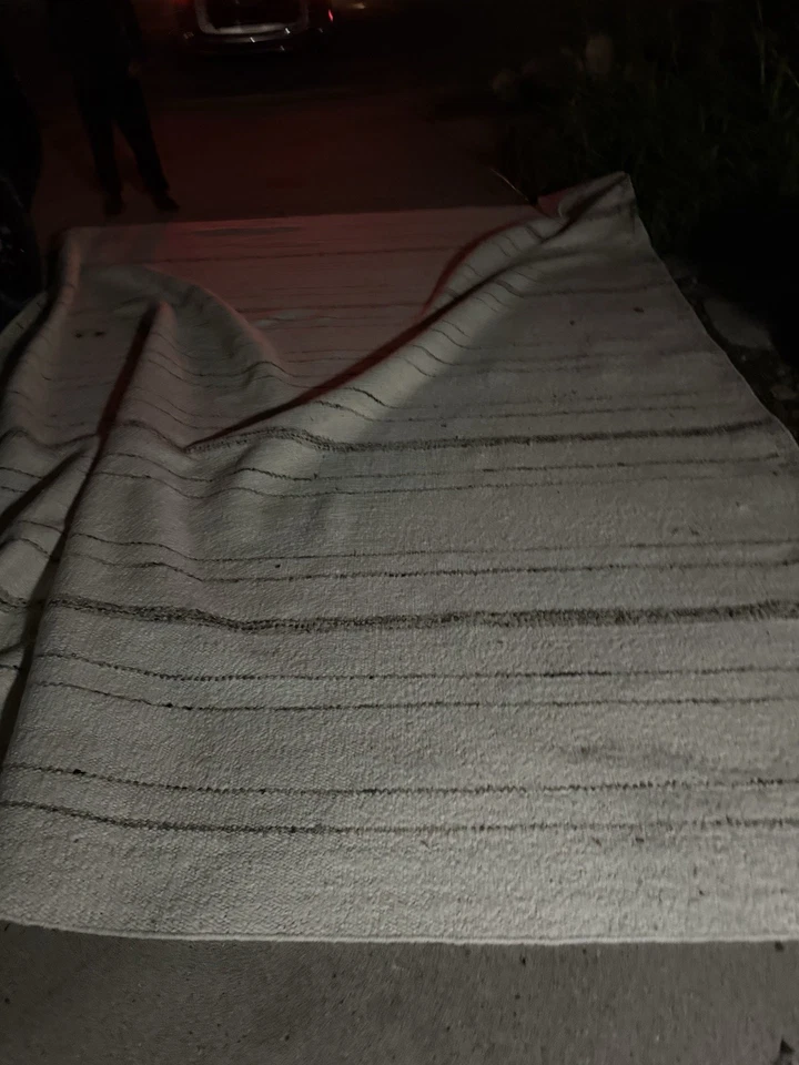 Alfombra tejida a máquina Surya Aisha AIS-2304 ¡Recogida local de Minneapolis Mn! Sin envío Foto 1 de 4