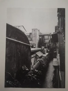 Clipping Foto Illustrazione ROMA Abitazioni in Via Margutta 1967 - Imagen 1 de 1