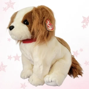⭐️ REGAL BUDDY ⭐️ 2001 TY Beanie BUDDY Dog - MWMT'S - Picture 1 of 6