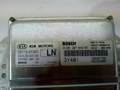 391103Y401 centralina motore KIA CARNIVAL II 2.5 V6 EX 2001 975199 - Immagine 1 di 4