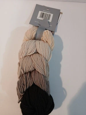 Caron x Pantone Yarn Discontinued Color -Tree Rings Braid 3.5oz/127yd B21 - Image 1 of 4