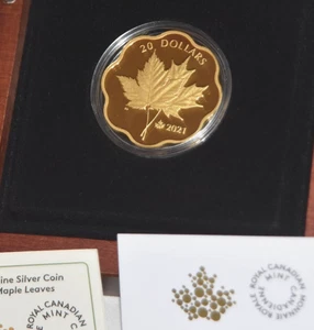 2021 Canadian Masters Club Iconic Maple Leaves $20 Pure Silver Proof Gold-Plated - Picture 1 of 5