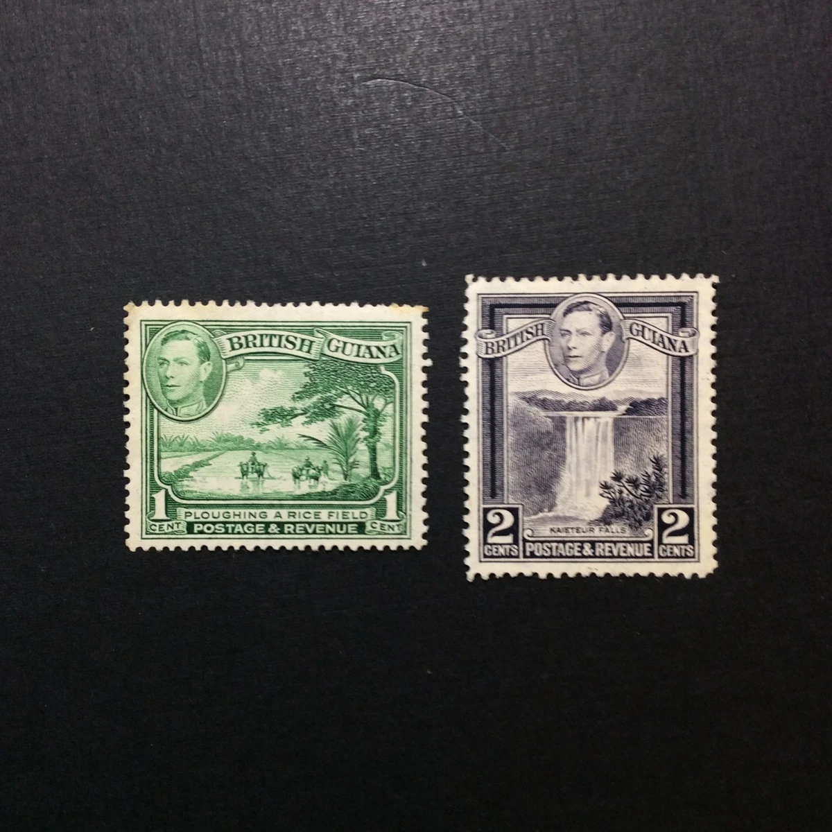 Mint No Gum/MNG British Guiana Stamps (Pre - 1966) for sale | eBay