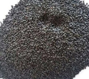 Semi di Tulsi Interi Ocimum Sanctum-Basilico Sacro Erbe Indiane Biologiche Semi Secchi - Foto 1 di 9