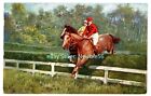 Equestrian - STEEPLECHASE HORSE RIDING - Raphael Tuck Oilette Postcard