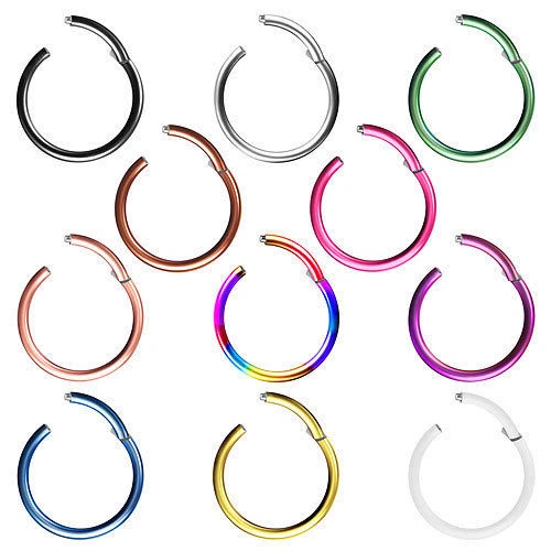 Septum Piercing Clicker Ring Universal Ohr Scharnier Segment Nase Lippe Intim - Bild 1 von 1