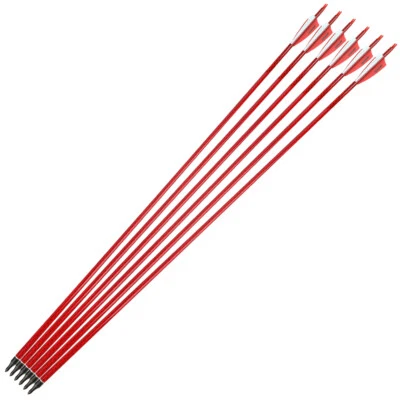 30" Carbon Arrows SP500 Compound Rubber Vanes Archery Shooting Target BowHunting - Image 1 of 4