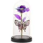 Eternal Rose with LED Light in Glass Dome - Mother's Day Gift-JN