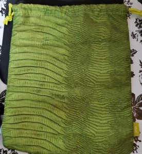 Ipsy Plus Drawstring Cosmetic Makeup Bag August 2021 Green New - Picture 1 of 1