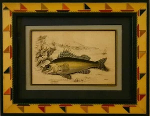 Antiker Fischdruck Datum 1840, Original, Fischdruck, Kunsthandwerkerrahmen, Deko Fisch - Bild 1 von 2