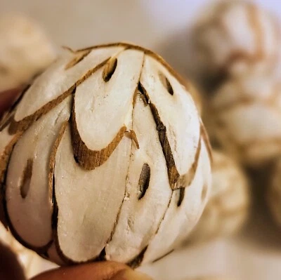 Vickerman Natural Botanicals Sola Chips Florero Bola Relleno Popurrí Virutas Madera Foto 1 de 4