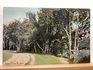 Shore Scene, Birch Point: Island Pond, VT - Postal vintage - Imagen 1 de 3