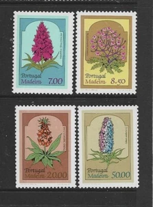 MADEIRA. Año: 1981. Tema: SERIE BASICA. FLORES REGIONALES. (I). - Imagen 1 de 1