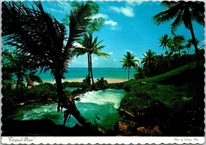 Postcard Jamaica River Flowing Out to Sea - Picture 1 of 2