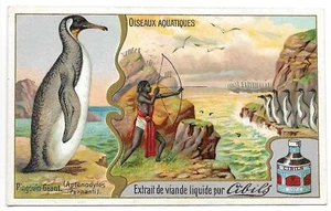 Pingouin géant  - Oiseaux aquatiques - Chromo Cibils - Trade card - Imagen 1 de 2