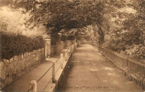 (ab08) Shanklin Chine Road - Levy LL Isle of Wight Postcard - Picture 1 of 2