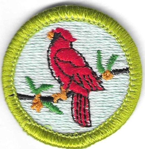 Picture 1 of 2
