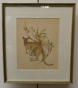 I.HILL 1983 FRAMED DRAWING AUSTRALIAN WALLABY KANGAROO PAW FLOWERS FLORA SIGNED - Picture 1 of 5