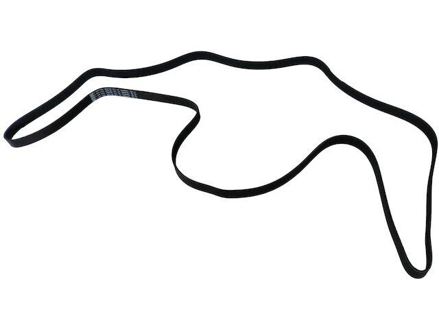 SKP 14NG19C Multi Rib Belt Fits 2012-2016 Ford F350 Super Duty 6.7L V8 DIESEL - Imagem 1 de 1