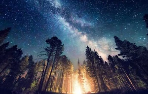 Anime forest camping starry night trees long exposure Play Gaming Mat Desk - Picture 1 of 1