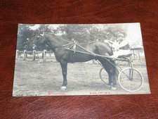 ORIGINAL REAL PHOTO SPORT POSTCARD - HARNESS RACING H. KLIENS MATE.