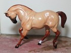 Hartland Dun in Dreams Red Dun Regal 11" Quarter Horse Black Horse Ranch 