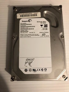 ST3120213AS SEAGATE SATA 120GB TESTED FREE SHIPPING - Picture 1 of 7