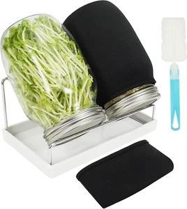 Sprouting Jar Kit with 2 Wide Mouth Jars, Sprout Lids, Tray, Stand, and Brush - Picture 1 of 12