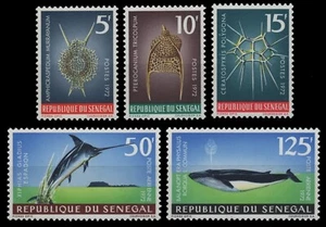 Senegal 1972 - n. Michel 505-509 ** - nuovo di zecca - vita marina / vita marina - Foto 1 di 1
