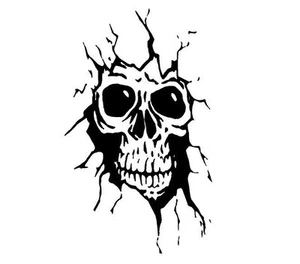 SKULL #58  DECAL VINYL GRAPHIC BONES SCARY CAR   VEHICLE  CROSS OVER  TRUCK SUV - Bild 1 von 2