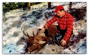 Five Point Beauty Hunter Buck in the Snow Postcard - Picture 1 of 2