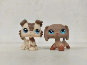 2pcs/lot LPS Toy Littlest Pet Shop Collie Dachshund Dog #2210#518 Animal Figure - Bild 1 von 6