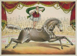 Circus Women Scarf Act, Vintage Reproduction, Wall Art Print 11" x 14" 1653 - Picture 1 of 1