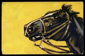 alte Ansichtskarte-Postkarte-Tiere PFERD-PFERD - Bild 1 von 1