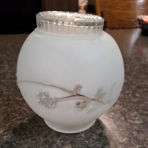 Frosted Glass Ceiling Light Globe Floral Vine Pattern 5" Wide 2.5" Neck Cover