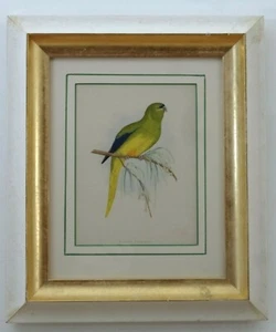 Papageiendruck, antike Papageien, datiert 1890 Vogelstich, Kunsthandwerkerrahmen - Bild 1 von 11