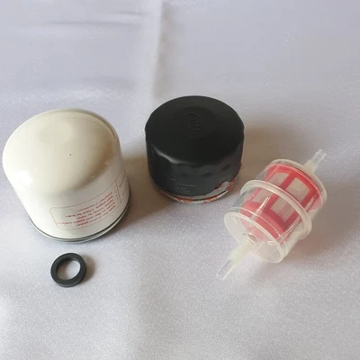 MARKENFILTER Serviceset für Aufsitzmäher Etesia Hydro 124D/X,Motor Lombardini LDW 1003/B1,NEU