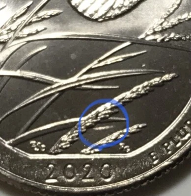 2020 P Kansas BU Quarter Extra blade of grass Feeder finger Error - Image 1 of 4