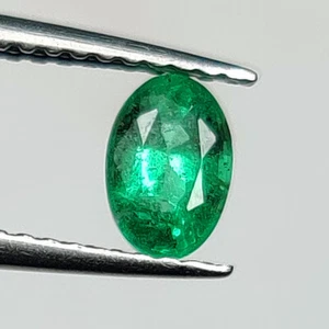 0,56 quilates - Esmeralda natural de Zambia buena gema verde brillante forma ovalada -7142 - Imagen 1 de 2