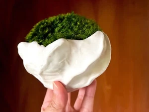 White ceramic moss bowl - Picture 1 of 9