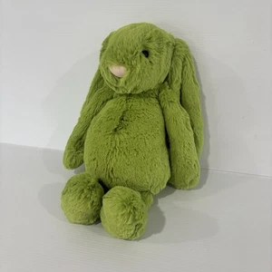 Jellycat Medium Blossom Bunny Green Apple Soft Fluffy Stuffed Animal GENUINE 🍏 - Bild 1 von 7