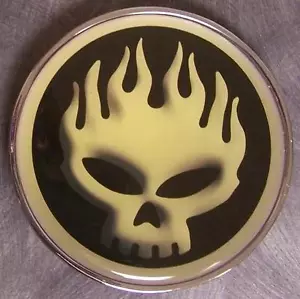 Pewter Belt Buckle novelty Flaming Skull NEW - Picture 1 of 1