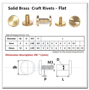 Tornillo de cinturón cuero artesanía clavo latón remaches lisos latón bisagra plana cuero - Imagen 1 de 25