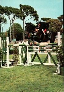 CARTOLINA ANNI 60 CARABINIERI CENTRO SPORTIVO EQUITAZIONE - Foto 1 di 2