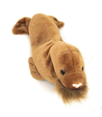 Ty Beanie Baby Paul The Walrus 1999  - Image 1 of 4