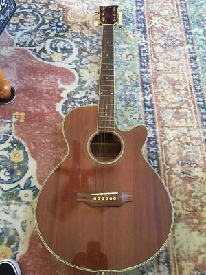 Jay Turser JTAC-43/NMAH Foto 1 de 4