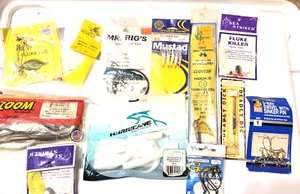 Großes Angelköder und Tackle Set Haken Würmer Luers - Bild 1 von 14