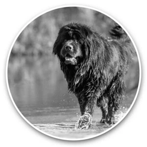 2 x Vinyl Aufkleber 20 cm (BW) - Neufundland Hund Welpe süß #38223 - Bild 1 von 8