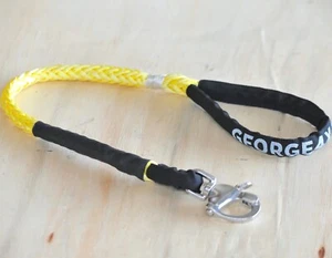 Dog Leash Yellow with quick clip made from Dyneema rope, made in australia - Picture 1 of 2